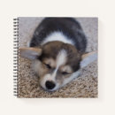 Search for corgi notebooks Puppy