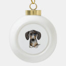 Search for wiener dog ornaments Puppy