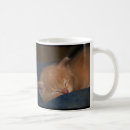 Search for angel cat mugs Kitten