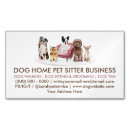 Recherche de comportement magnets Dog