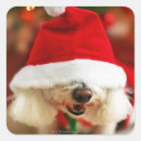 Recherche de frise autocollants Animal