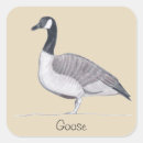 Search for bird drawing stickers Black