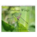 Recherche de merveilleux calendriers Insecte