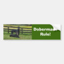 Search for doberman pinscher bumper stickers Dobie