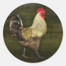 Recherche de le coq autocollants Pour eux