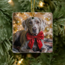 Search for weimaraner ornaments Canine