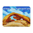 Search for joshua tree magnets Vintage