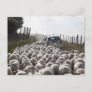 Search for blocking postcards Horizontal