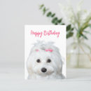 Search for maltese birthday cards Puppies