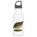 Search for fowl drinkware Poultry