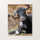 Search for funny goat puzzles Rural