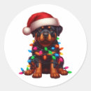 Search for rottweiler puppies stickers Cute