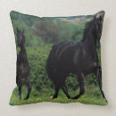 Recherche de pur sang coussins Plomb langrish