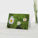 Search for includes cards Nature
