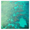 Search for coral reef tiles Great barrier reef