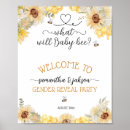 Search for bee gender reveal Modern