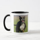 Search for excitement mugs Joy
