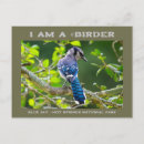 Recherche de geai bleu posters Ornithologie