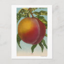 Recherche de chromo cartes postales Collection