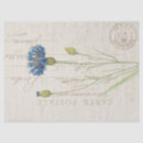 Recherche de blue cornflower cartes postales Vintage