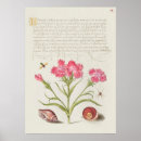 Recherche de botanical posters Plants