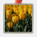 Search for tulip ornaments Green
