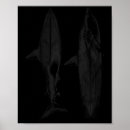 Search for shark posters Design