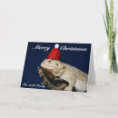 Search for dragon christmas cards Pet