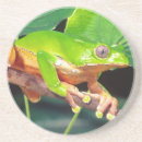 Recherche de grenouille dessous de verres Coloré