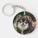 Search for long haired chihuahua keychains Canine photographer