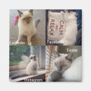 Search for many magnets Cat