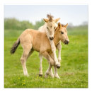 Recherche de foins posters Pour enfants