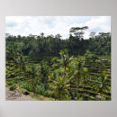 Search for balinese posters Travel