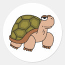 Search for tortoise stickers Illustration