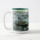 Recherche de crapauds tasses Pour lui