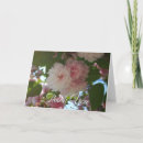 Search for cherry blossom tree cards Washington monument