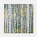 Search for danita delimont magnets Forest