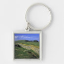 Search for divider keychains Green