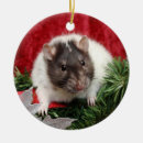 Search for rat ornaments Animals