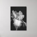 Search for black and white floral canvas prints Botanical
