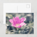 Recherche de rosas cartes postales Nature