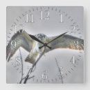 Search for winged fish posters Osprey