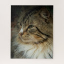 Search for norwegian puzzles Animal