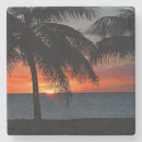Search for palm tree coasters Sunrise