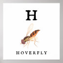 Search for hoverflies Pollinators