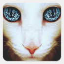 Recherche de visage de chat autocollants Félin