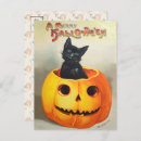 Search for vintage halloween illustration postcards Black cat