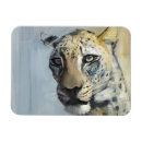 Search for predators magnets Head