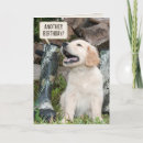 Recherche de tas vœux cartes Humour