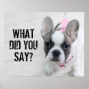 Recherche de bouledogue francais posters Chiot